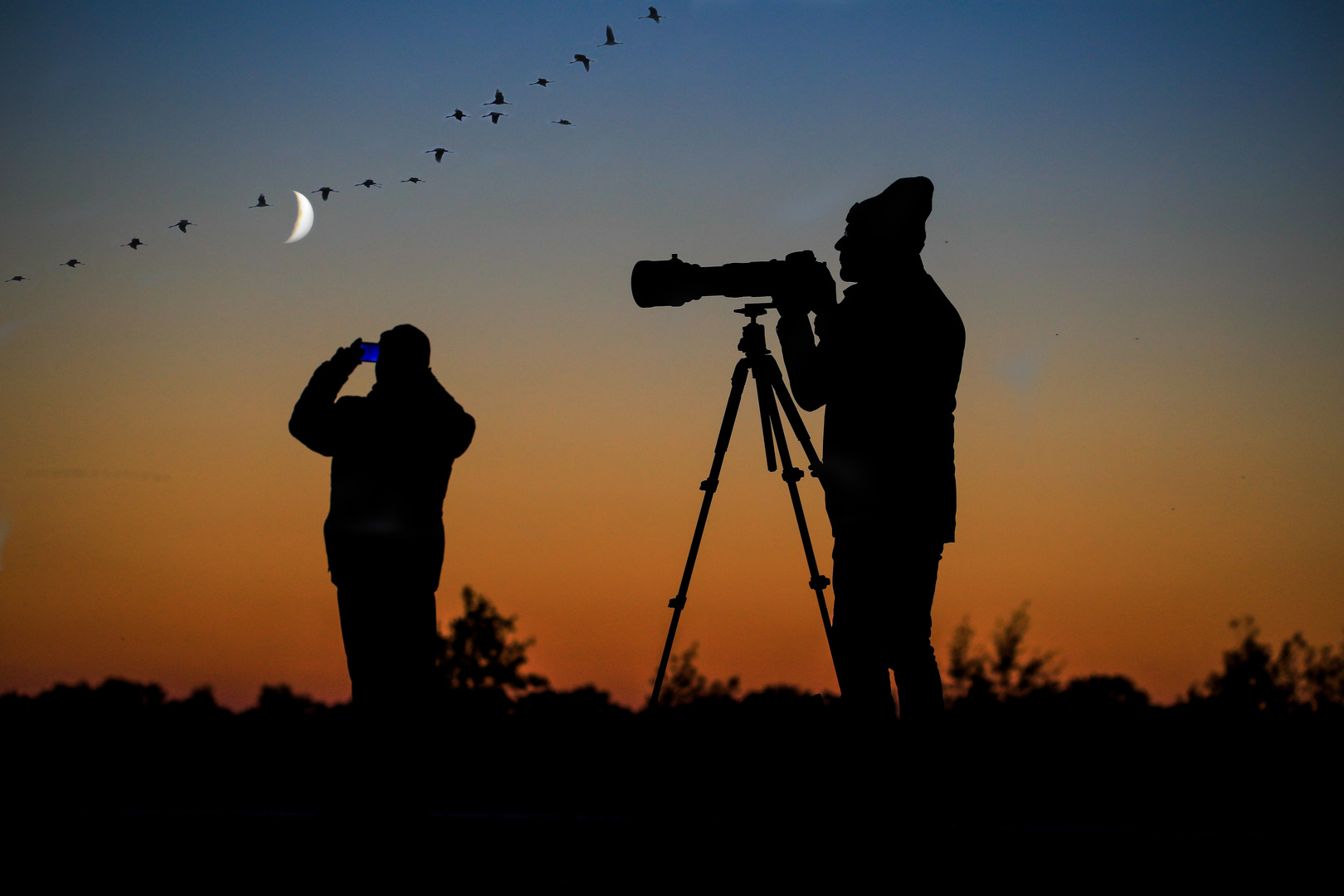 Kranichfotografie für Anfänger/Fortgeschrittene in Zingst