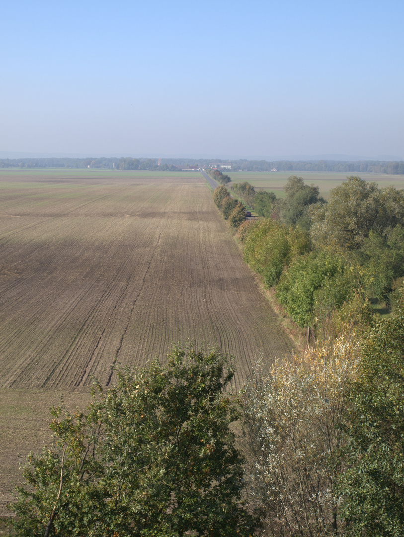 Kranichlandschaft