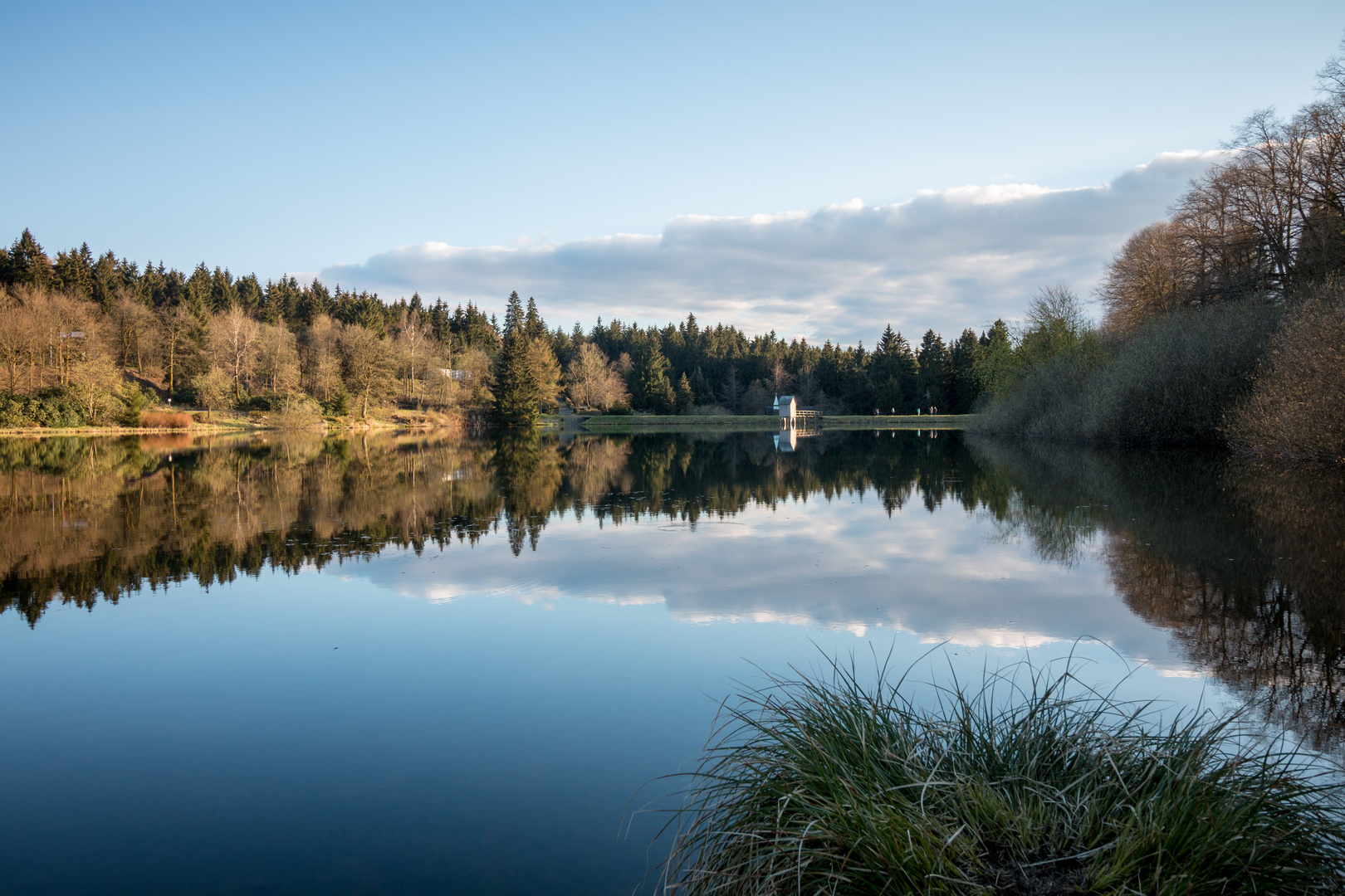 Kranichsee #1