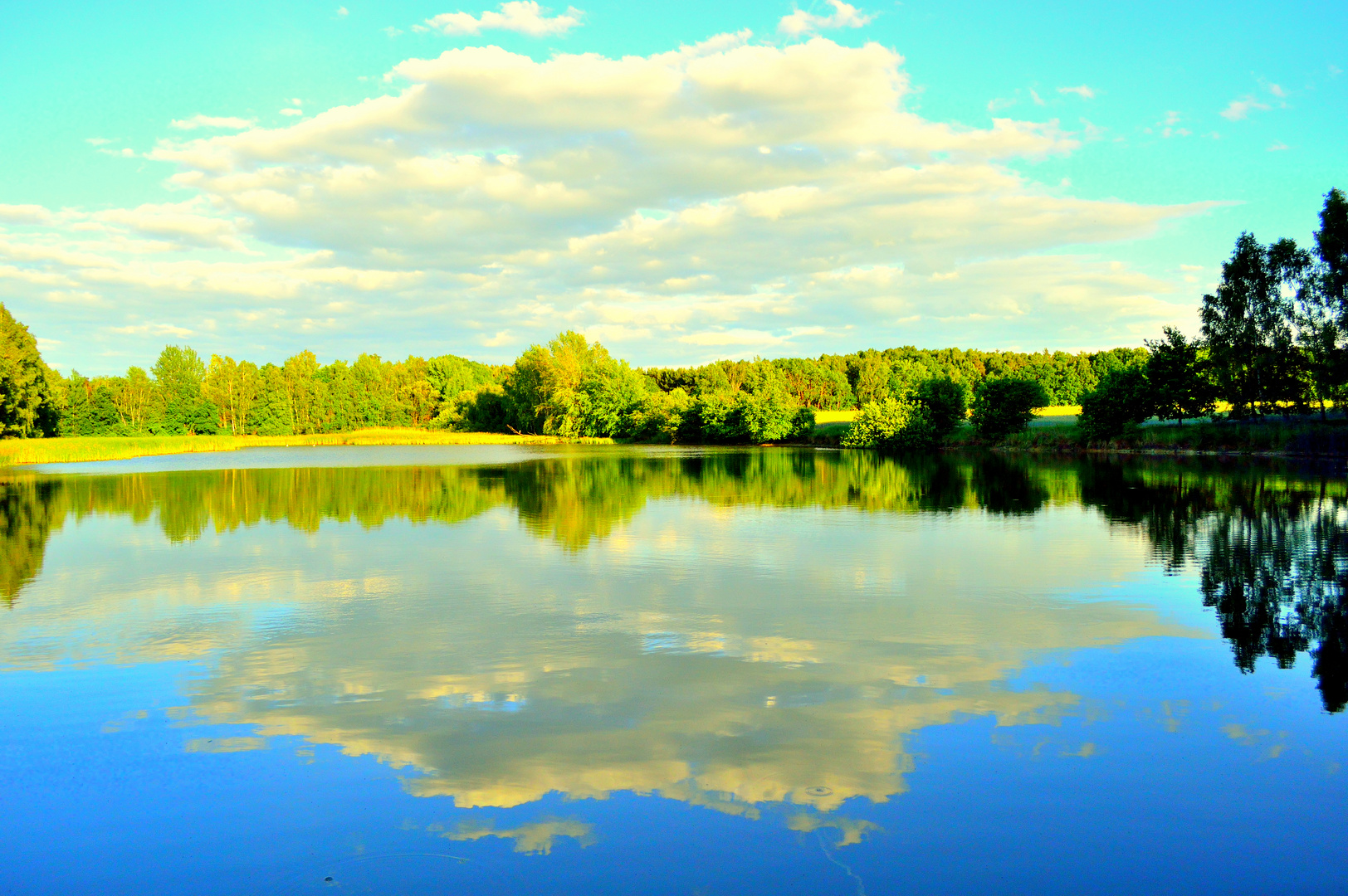 Kranichteich bei Frauwalde (Dahlener Heide) Foto & Bild landschaft