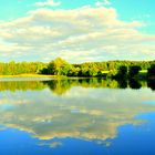 Kranichteich bei Frauwalde (Dahlener Heide)