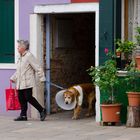 Kranker Hund in Burano