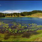 ~ KRANZBERG - WILDENSEE ~