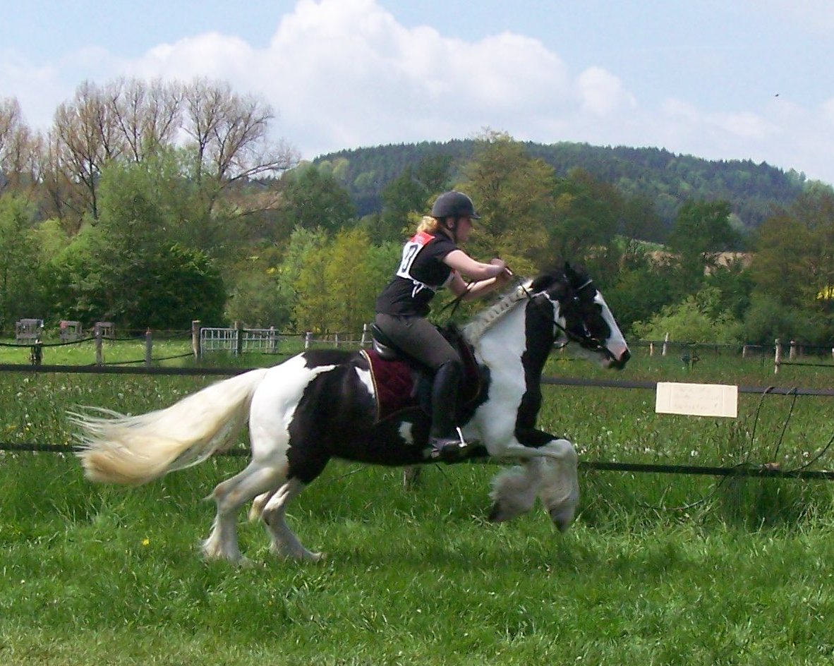 Kranzreiten 2010 - Fliegender Start