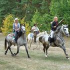 Kranzrennen Westerhausen 2013