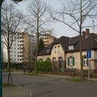Krasse Gegensätze - Siedlung Rheinpreußen in Duisburg