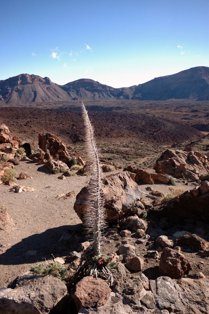 Kraterlandschaft am Teide