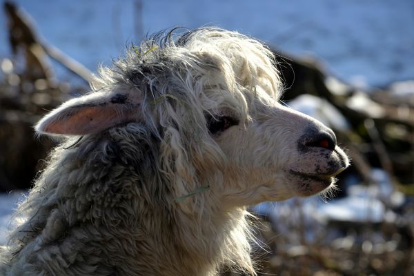 kratzfrei, leicht und sehr warm