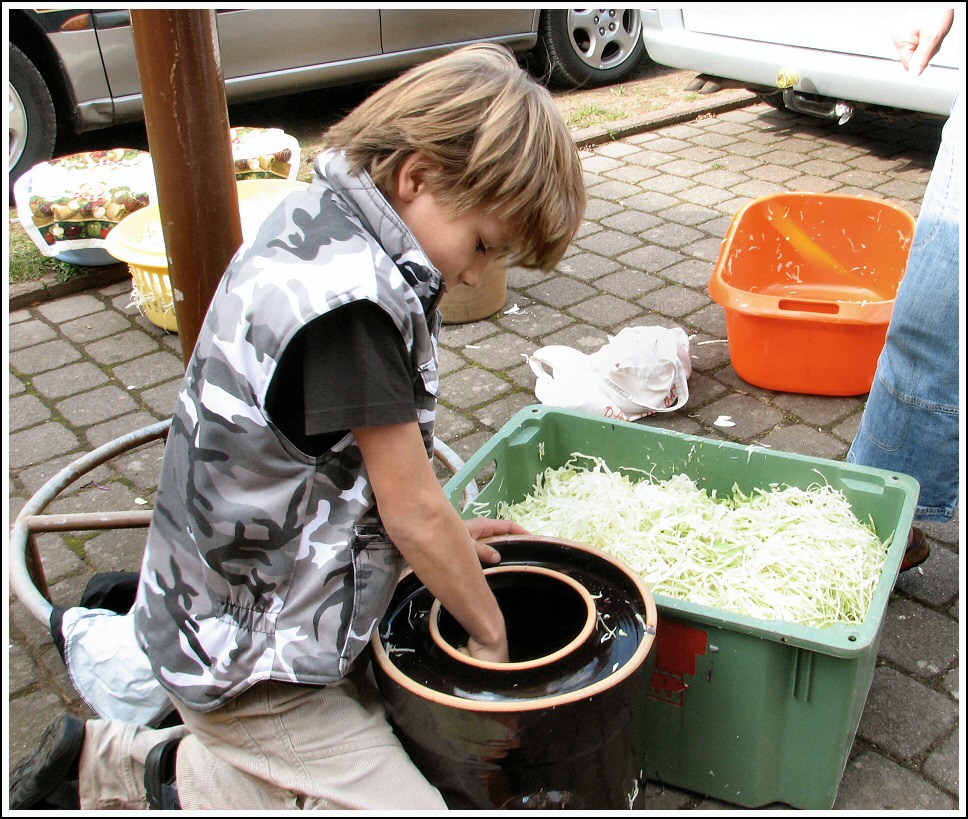 Kraut selber einschneiden