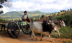 Kraut-Sourcing in Myanmar