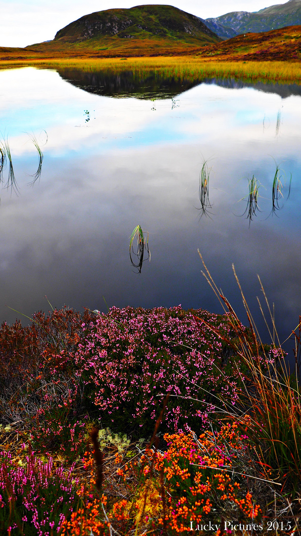 Kraut und Berg - United Colors of Scotland