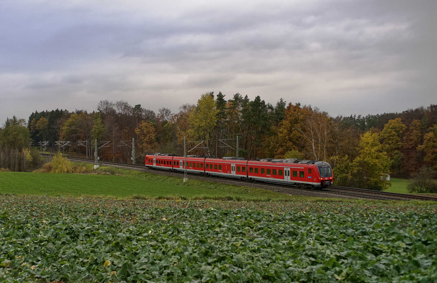 Kraut und Rüben