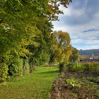 krautgärten am feuerweiher