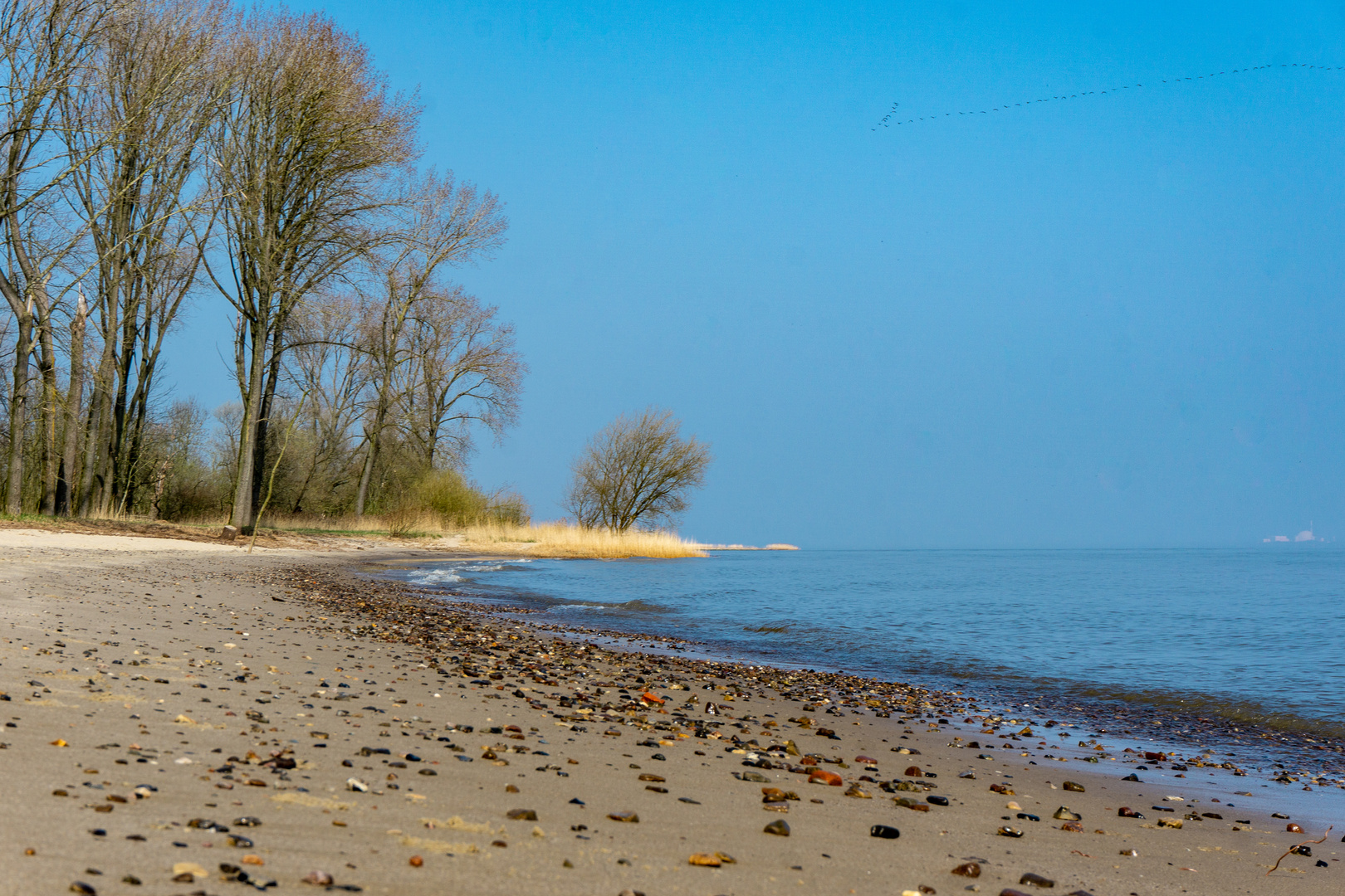 Krautsand ....ein Traum in der Elbe