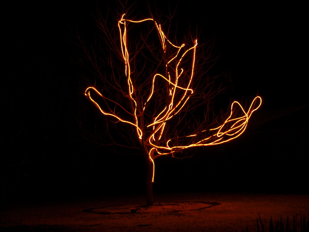 Kreativer Lichterglanz in Nachbars Garten