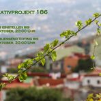 Kreativprojekt 186 - Diagonalen