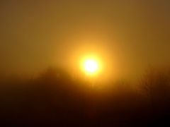 Kreativprojekt 187: "Nebel"