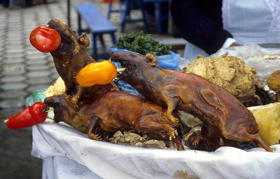 Kreaturen - Laokoon Gruppe aus frittierten Meerschweinen