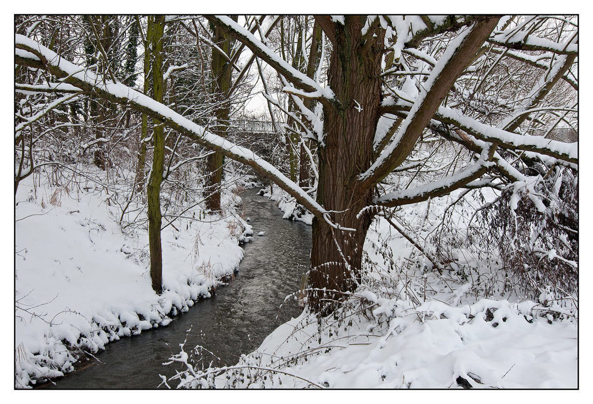 Krebsbach im Winter