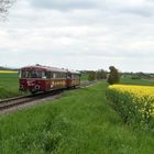 Krebsbachtalbahn bei Hüffenhardt 30.4.2023