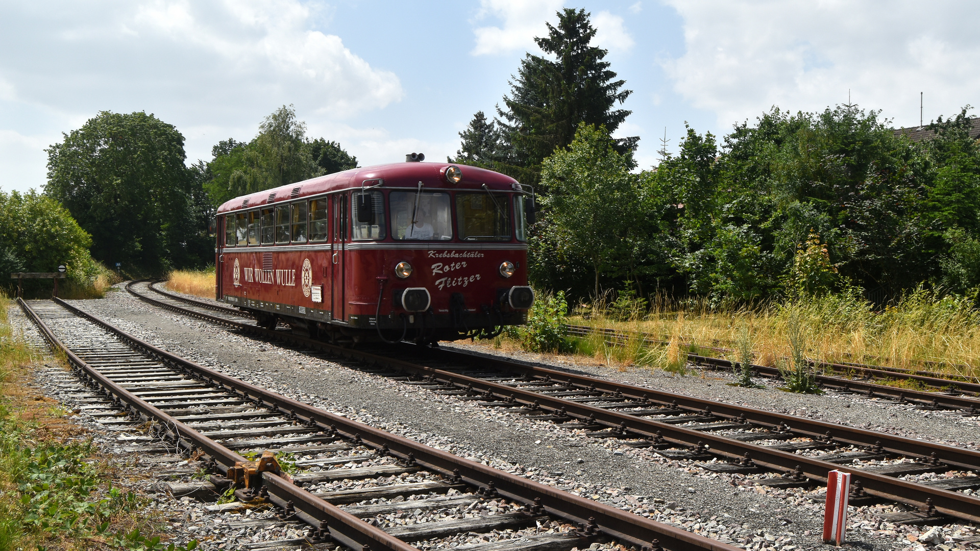 Krebsbachtalbahn bei Siegelsbach 2.7.2023