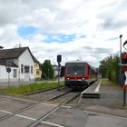 Krebsbachtalbahn im Bf Neckarbischofsheim Stadt 1.5.2024