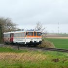 Krebsbachtalbahn mit Rebenbummler bei Siegelsbach 1.4.2024