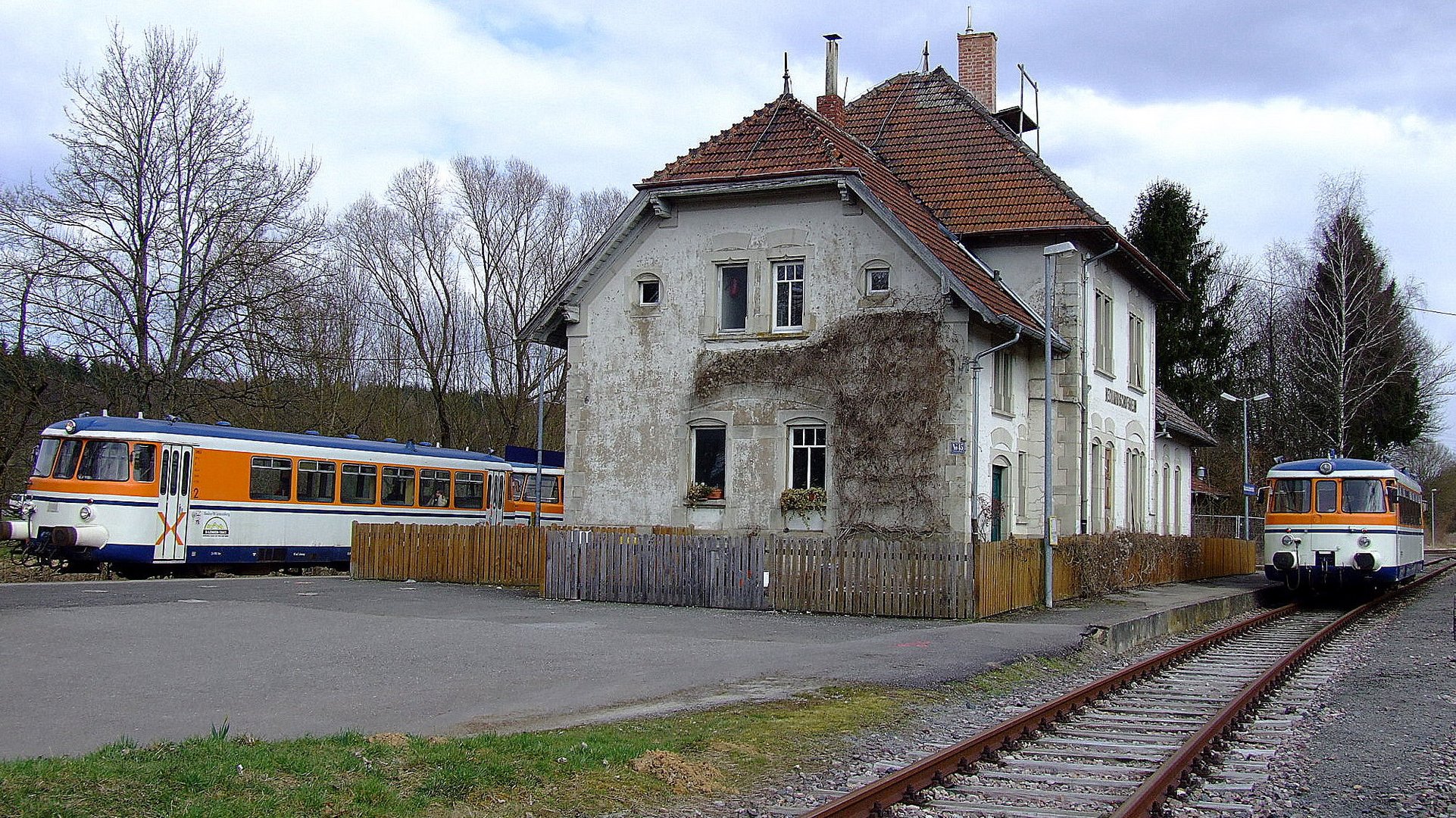 Krebsbachtalbahn und Schwarzbachtalbahn am Keilbahnhof Neckarbischofsheim Nord 21.3.2009