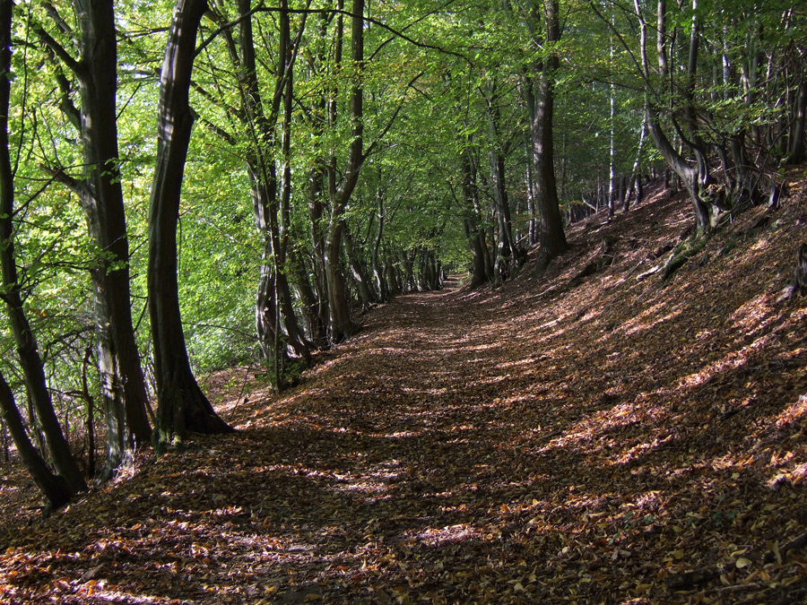 krebsbachtalwanderweg...