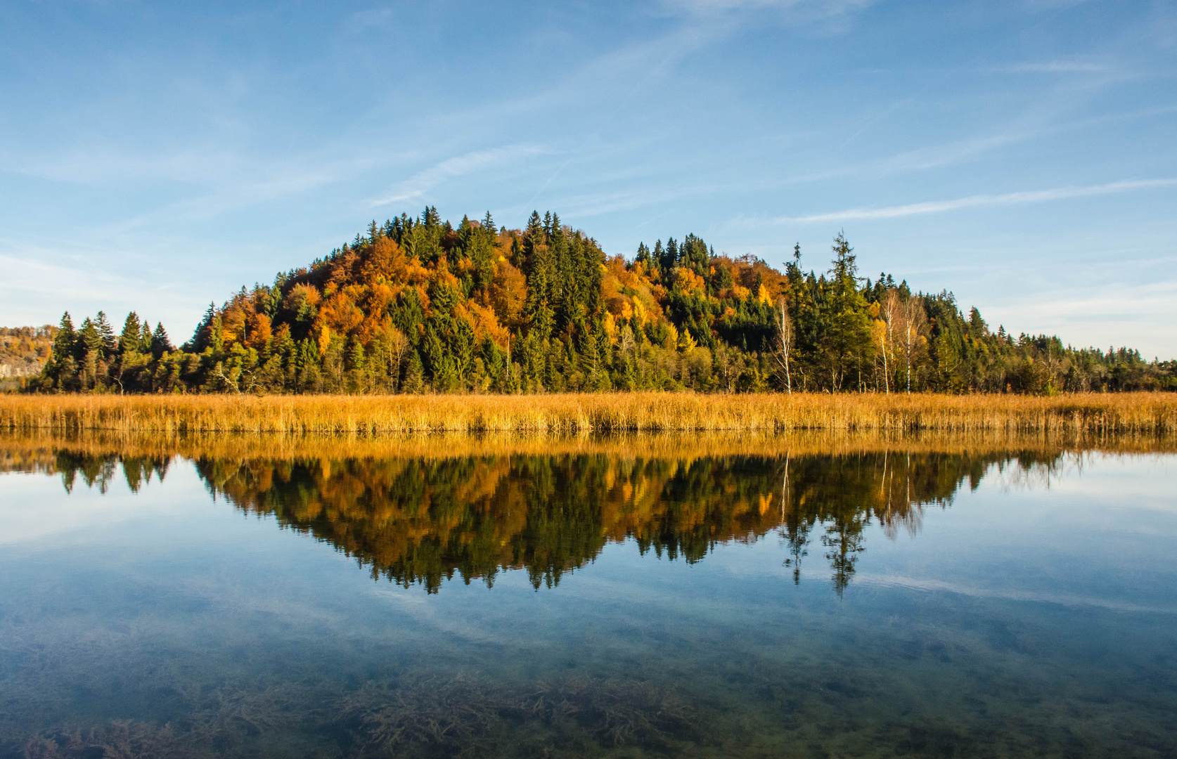 Krebssee