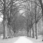 Krefeld - Burg Linn - Kleine Allee