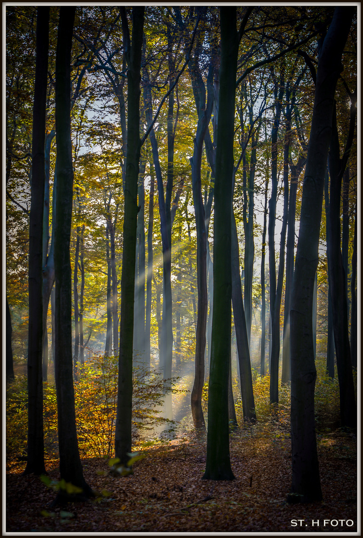 Krefeld, Hülser Berg............