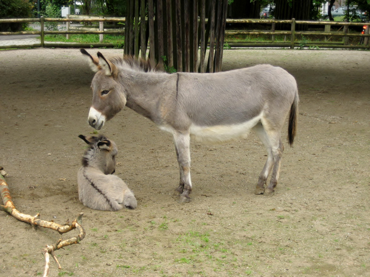 Krefeld Zoo