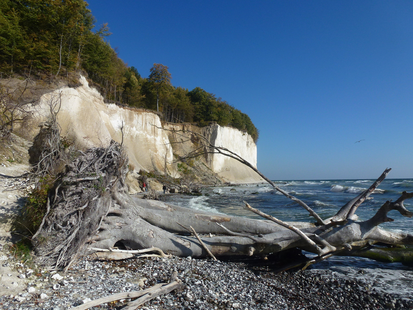 Kreide an der Ostsee..