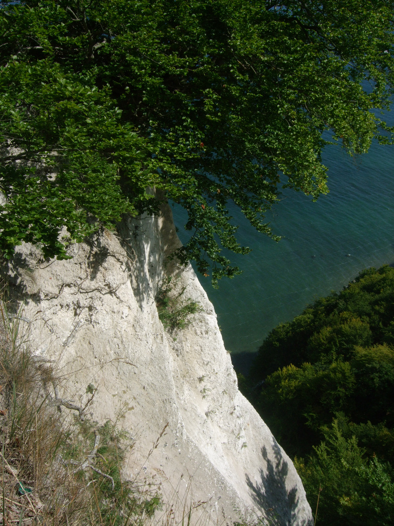 Kreidefelsen 2