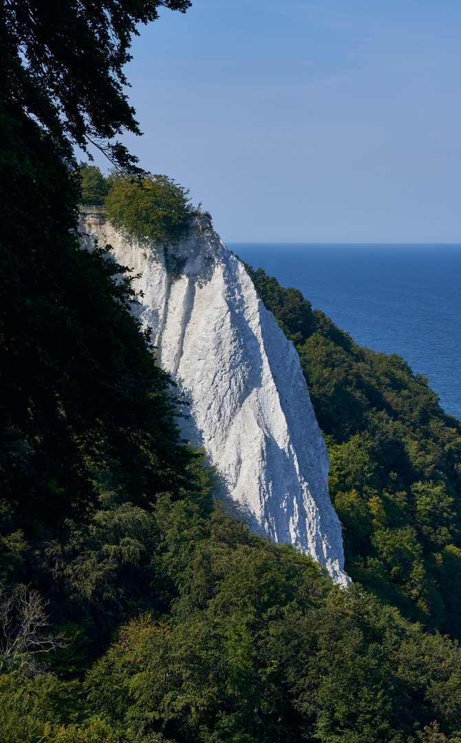 Kreidefelsen auf der Insel Rügen