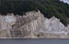 Kreidefelsen auf der Insel Rügen.