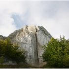 Kreidefelsen auf der Insel Rügen...