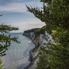 Kreidefelsen auf der Insel Rügen