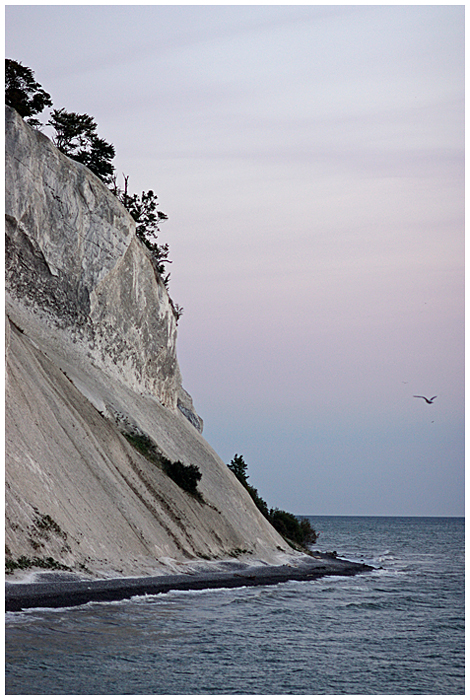 Kreidefelsen auf Mön - Dänemark 2