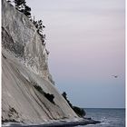 Kreidefelsen auf Mön - Dänemark 2