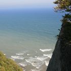 Kreidefelsen auf Rügen