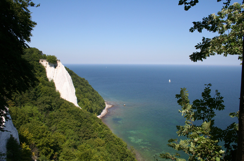 Kreidefelsen auf Rügen