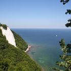 Kreidefelsen auf Rügen