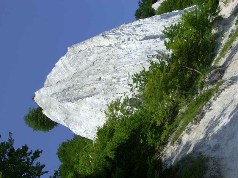 Kreidefelsen auf Rügen