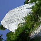 Kreidefelsen auf Rügen