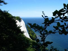 Kreidefelsen auf Rügen (1)