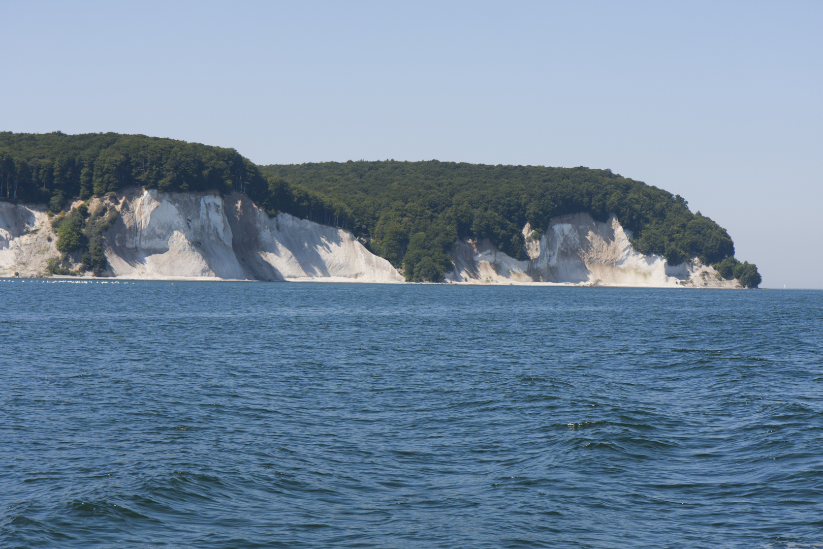 Kreidefelsen auf Rügen