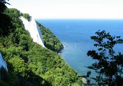 Kreidefelsen auf Rügen (2)