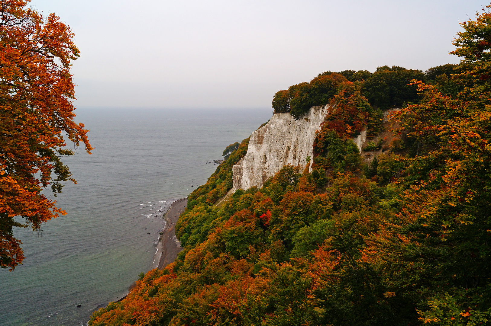 Kreidefelsen auf Rügen